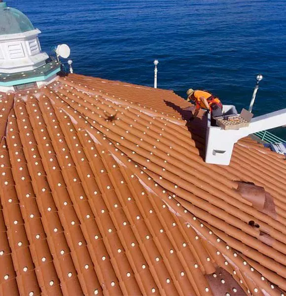 Professional bird deterrent installation on a roof