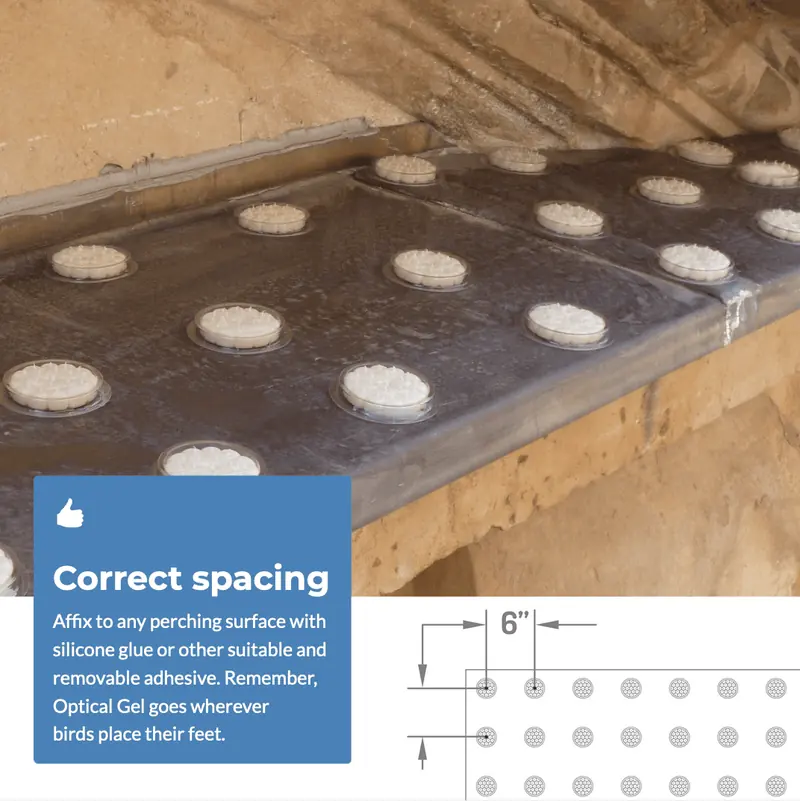 Professional spacing for a bird deterrent installation