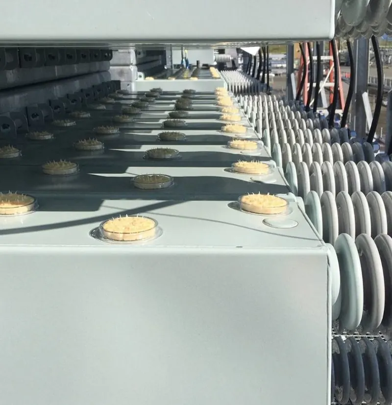 Bird deterrent application around utility equipment